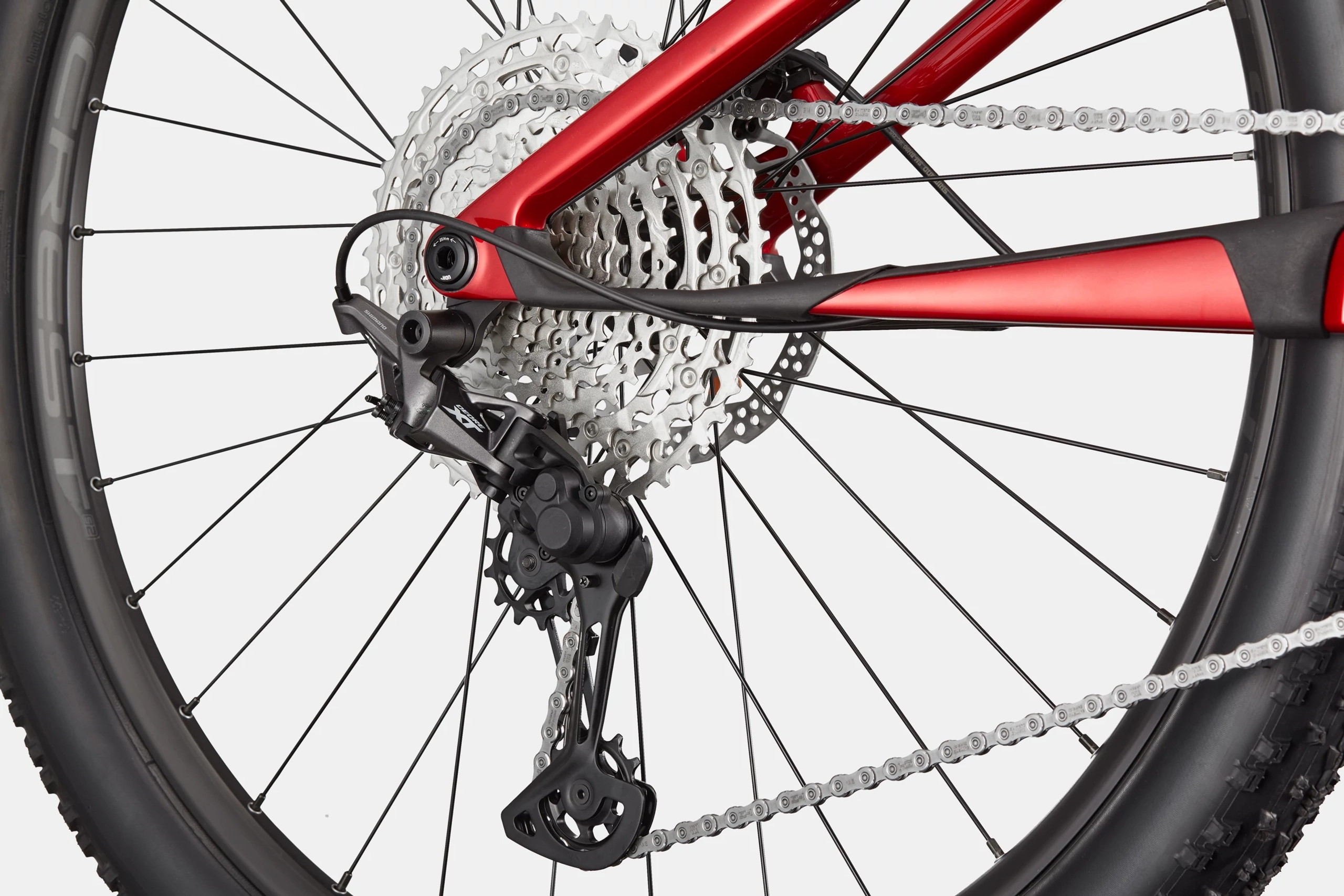 C25_C24504U_Scalpel_Crb_4_MRD_D3 CANNONDALE Scalpel 29" Carbon 4 metallic red (M)