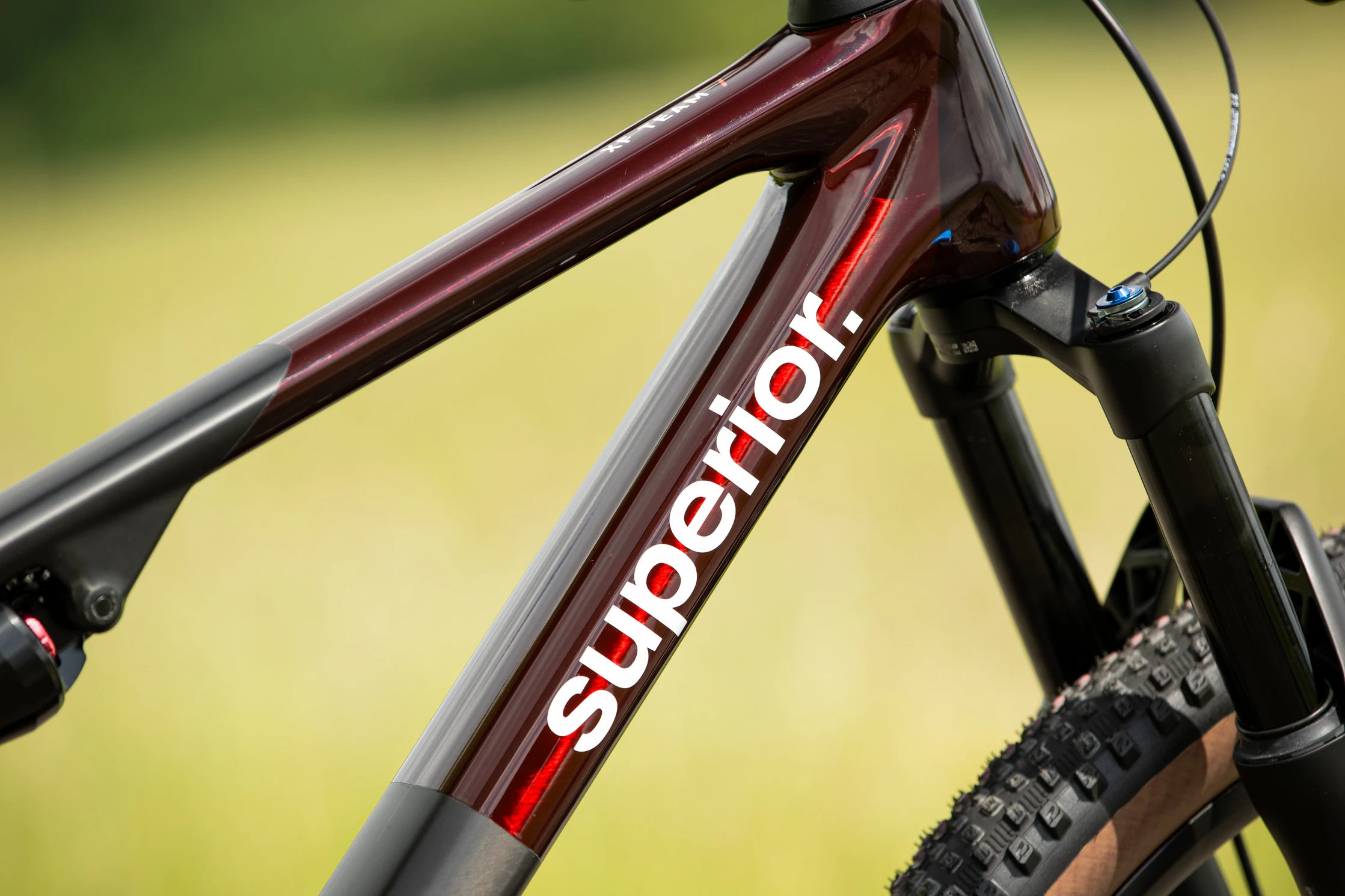 d56i9167_jpg Superior XF 9.9 Team / Gloss Carbon / Red Carbon / 21.0"(XL)