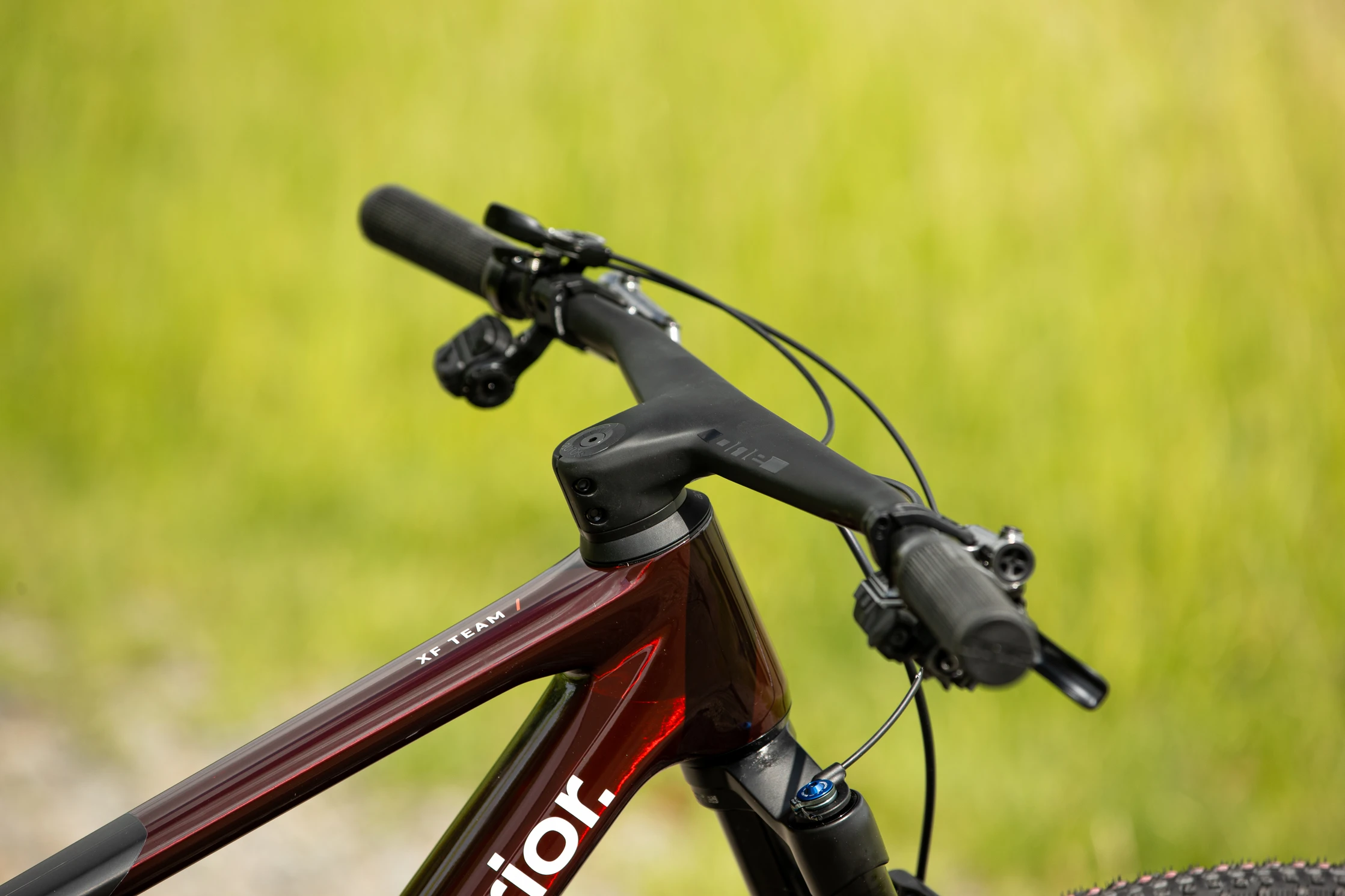 d56i9182_jpg Superior XF 9.9 Team / Gloss Carbon / Red Carbon / 21.0"(XL)