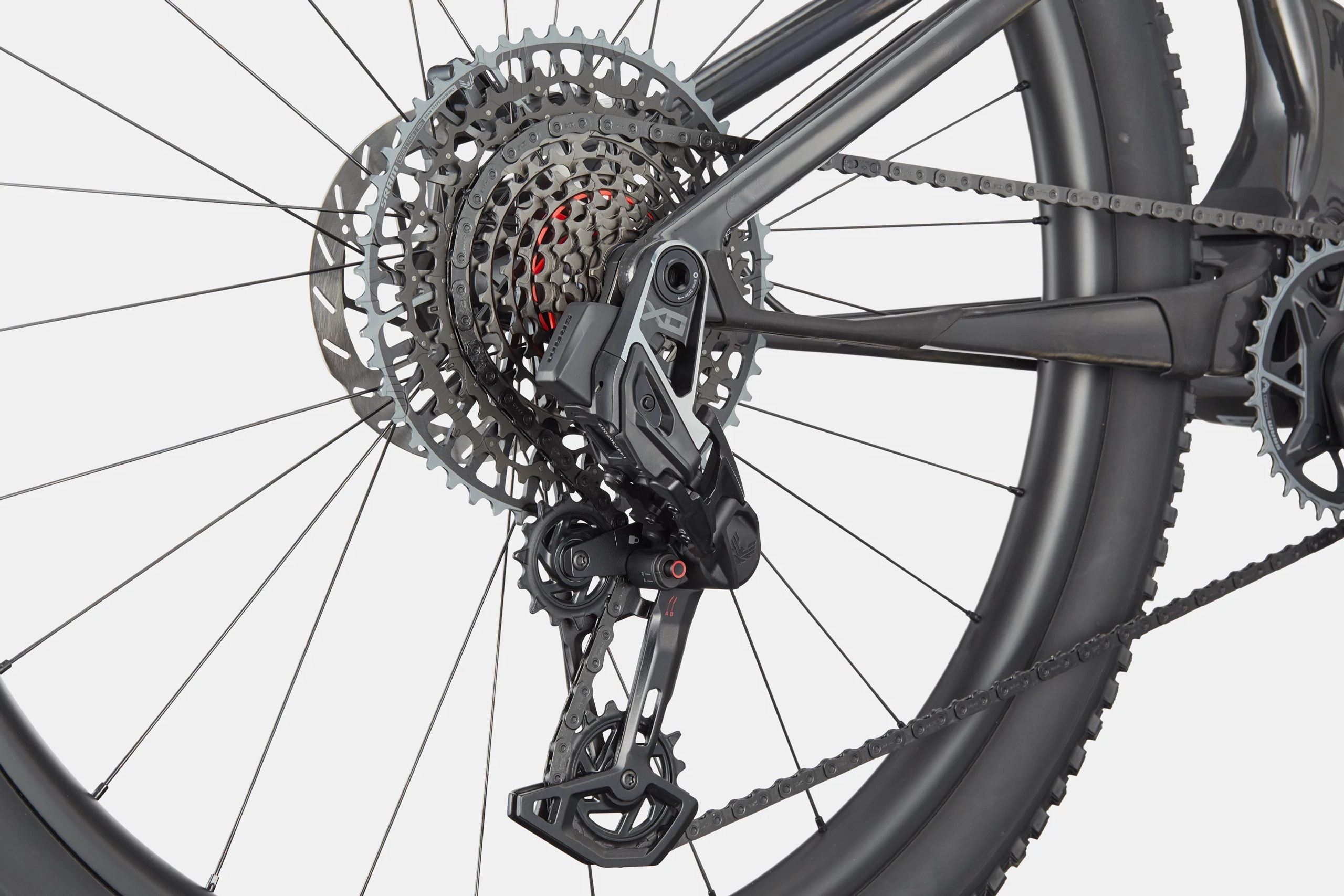 CANNONDALE Scalpel 29" Carbon 1 raw (L)