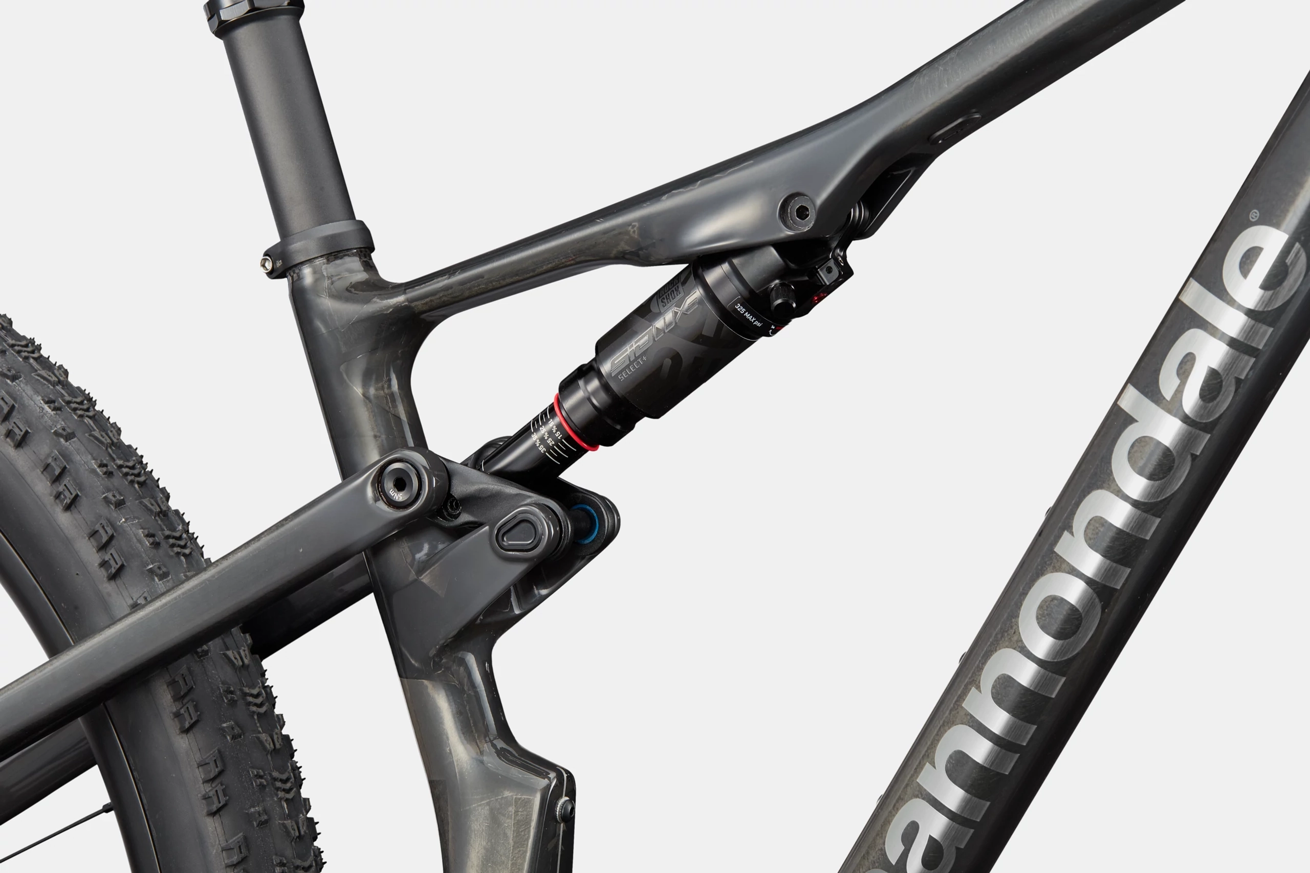 CANNONDALE Scalpel 29" Carbon 1 raw (L)