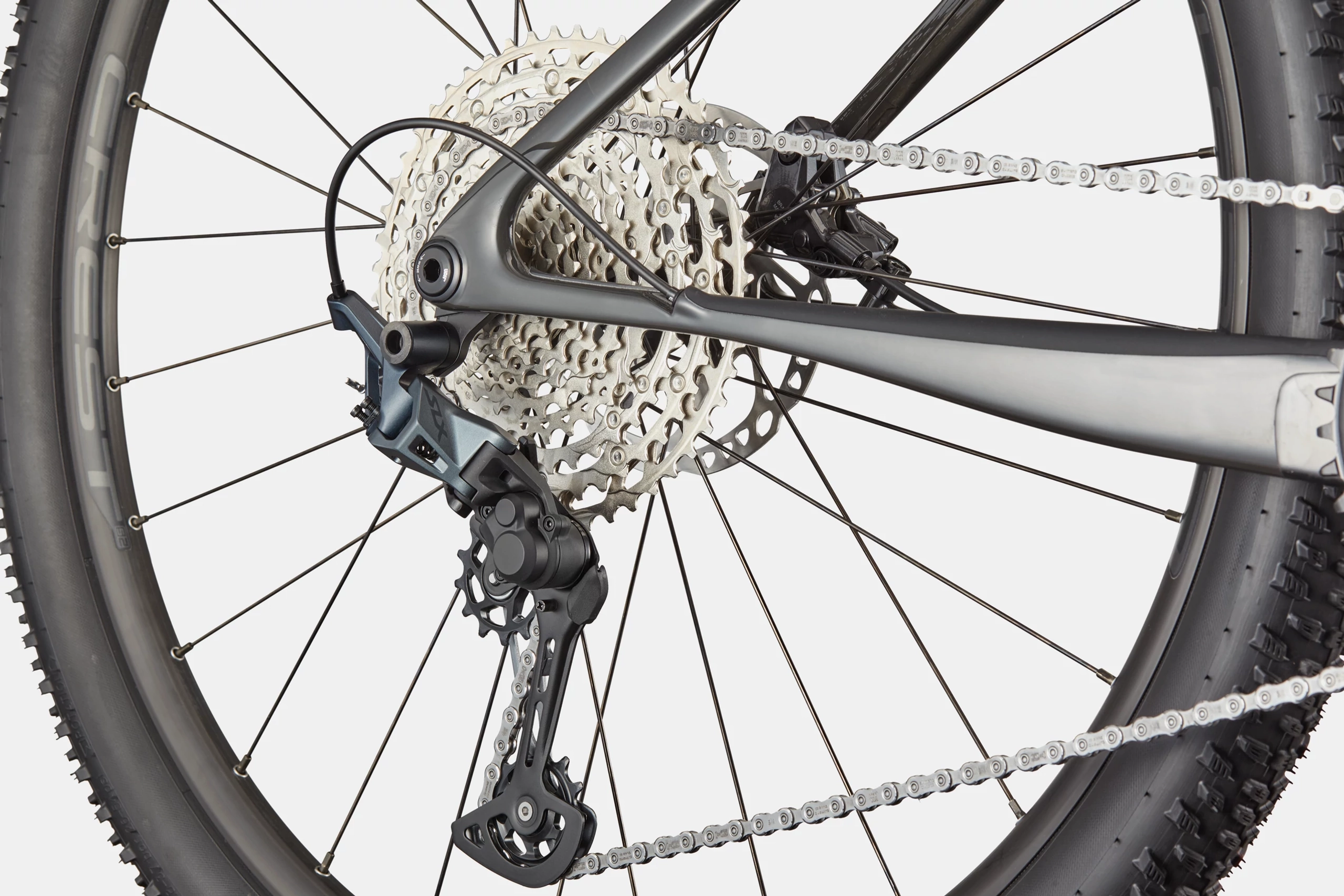 CANNONDALE Scalpel HT Carbon 2 tyger eye (L)